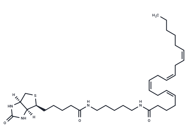 Arachidonic Acid-biotin,Arachidonic Acid-biotin