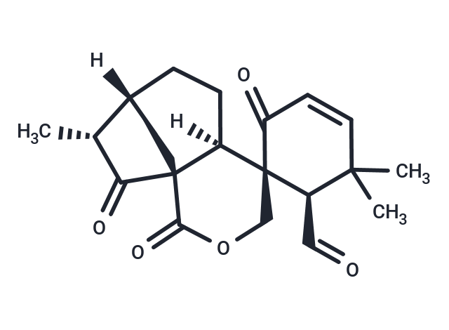 表毛萼甲素,Epieriocalyxin A