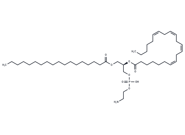 1-Stearoyl-2-Adrenoyl-sn-glycero-3-PE,1-Stearoyl-2-Adrenoyl-sn-glycero-3-PE