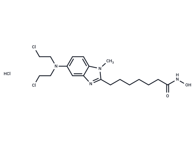 化合物 Tinostamustine HCl,Tinostamustine HCl