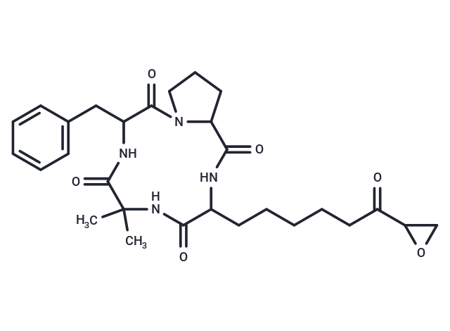 化合物 Chlamydocin,Chlamydocin