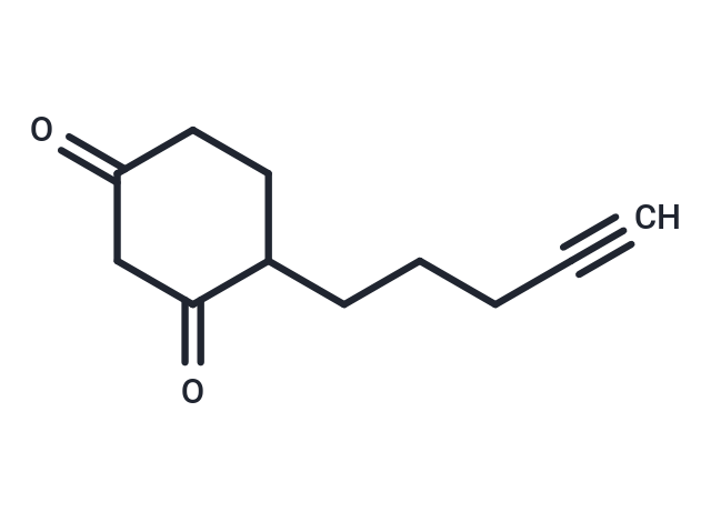 DYn-2,DYn-2