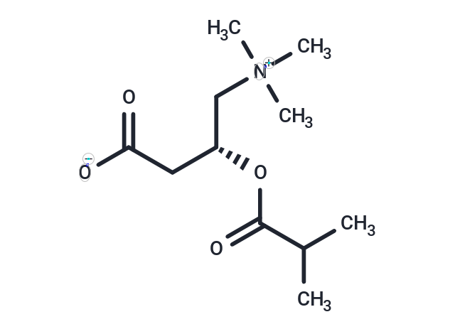 化合物 Isobutyryl-L-carnitine,Isobutyryl-L-carnitine