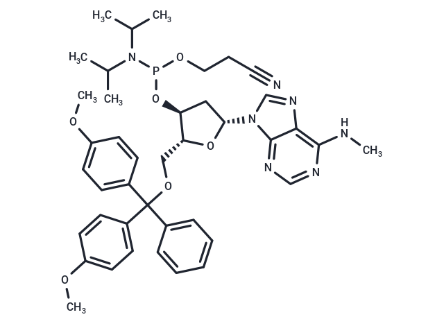 N6-Methyl-dA phosphoramidite,N6-Methyl-dA phosphoramidite