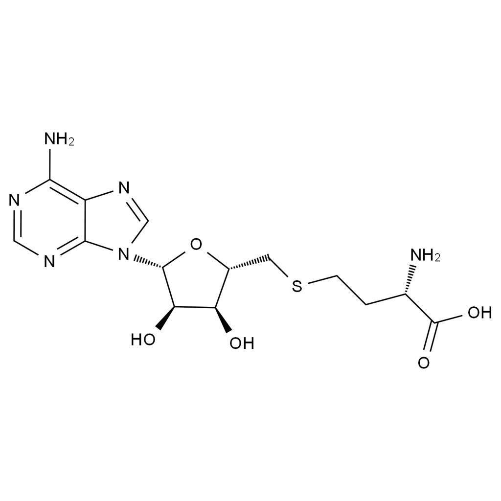 S-(5'-腺苷)-L-高半胱氨酸,S-(5'-Adenosyl)-L-homocysteine