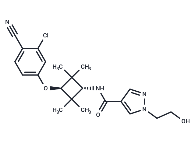 化合物 Androgen receptor antagonist 1,Androgen receptor antagonist 1