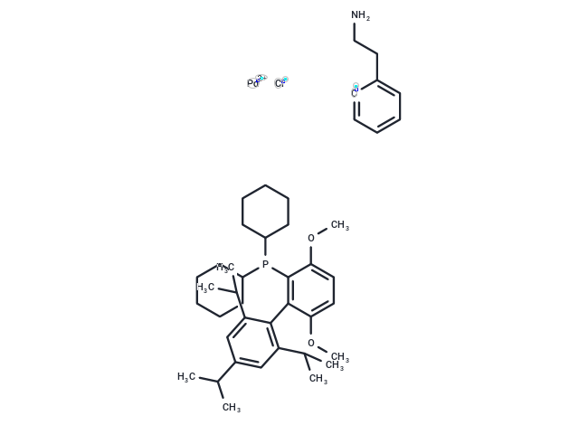 化合物 Dicyclohexyl(2',4',6'-triisopropyl-3,6-dimethoxy-[1,1'-biphenyl]-2-yl)phosphine-(2-(2-aminoethyl)phenyl)palladium(II) chloride,Dicyclohexyl(2',4',6'-triisopropyl-3,6-dimethoxy-[1,1'-biphenyl]-2-yl)phosphine-(2-(2-aminoethyl)phenyl)palladium(II) chloride