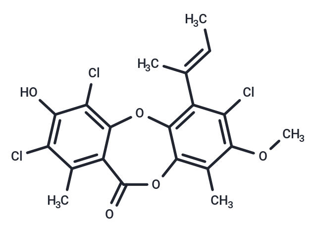 Nidulin,Nidulin