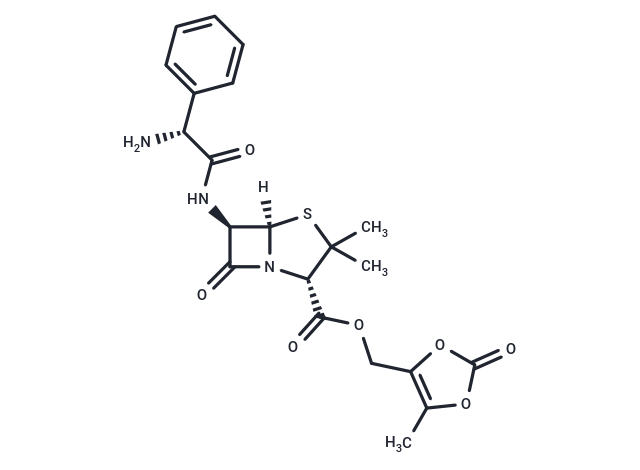 化合物 Lenampicillin,Lenampicillin