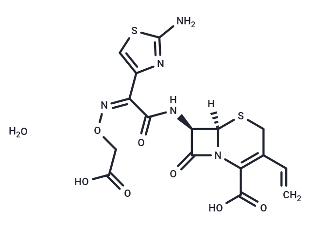 Cefixime trihydrate,Cefixime trihydrate