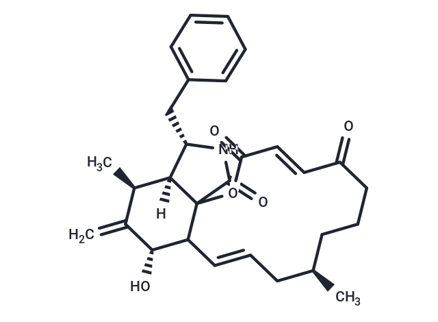 細(xì)胞松弛素A,Cytochalasin A