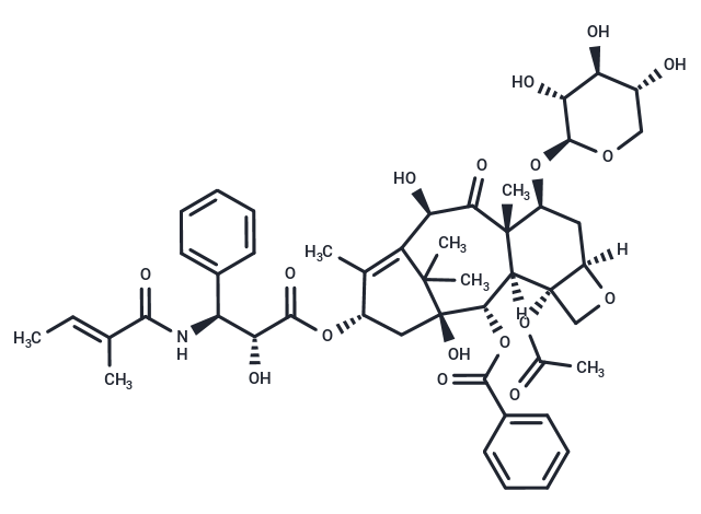 7-木糖基-10-去乙酰基三尖杉寧堿,7-Xylosyl-10-deacetyltaxol B