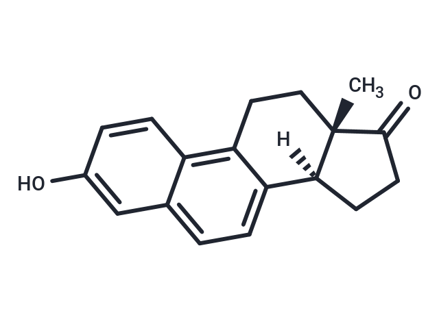 馬萘雌甾酮,Equilenin