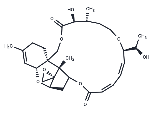 疣菌素A,Roridin A