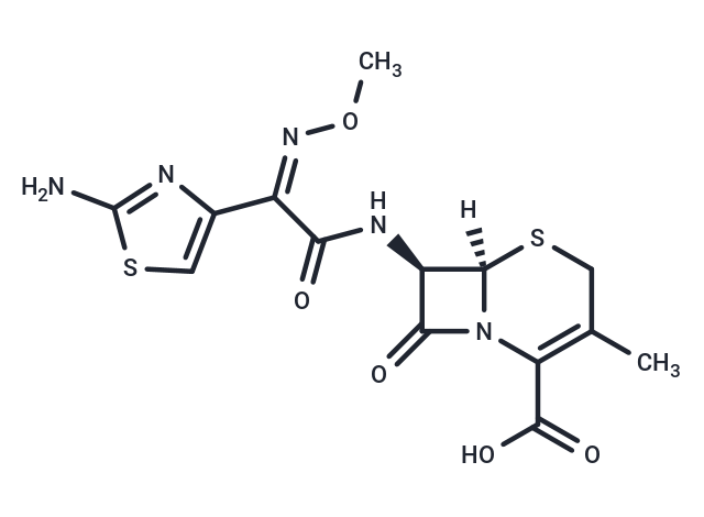 化合物 Cefetamet,Cefetamet