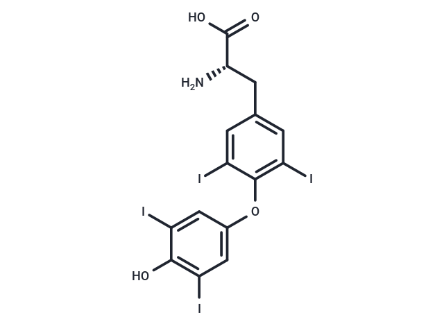 L-甲狀腺素,L-Thyroxine