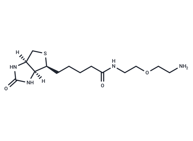 Biotin-PEG1-NH2,Biotin-PEG1-NH2