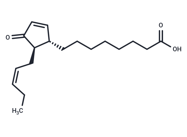 13-epi-12-oxo Phytodienoic Acid,13-epi-12-oxo Phytodienoic Acid