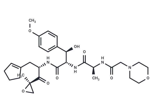 Zetomipzomib,Zetomipzomib