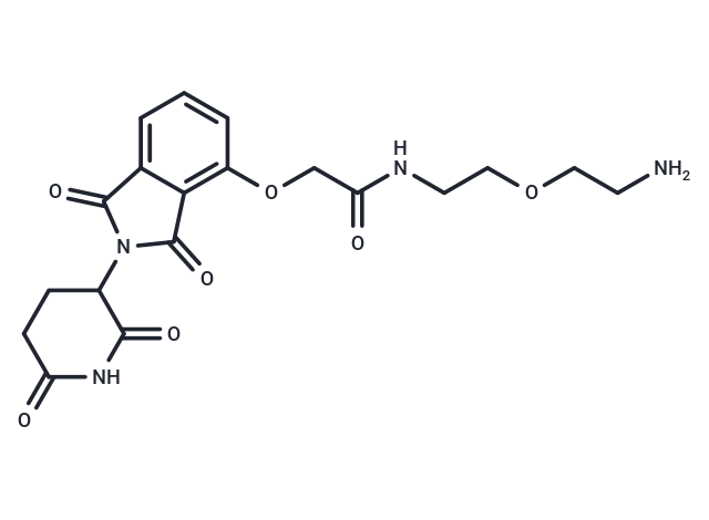 Thalidomide-O-amido-PEG-C2-NH2,Thalidomide-O-amido-PEG-C2-NH2