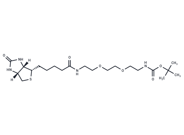 化合物 Biotin-PEG2-NH-Boc,Biotin-PEG2-NH-Boc