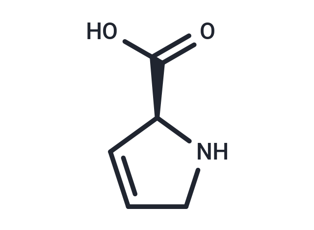 化合物 3,4-Dehydro-L-proline,3,4-Dehydro-L-proline