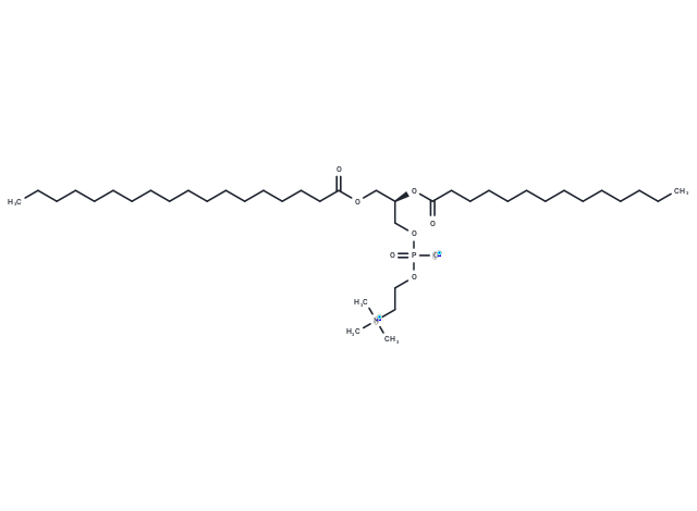 化合物 1-Stearoyl-2-myristoyl-sn-glycero-3-PC,1-Stearoyl-2-myristoyl-sn-glycero-3-PC