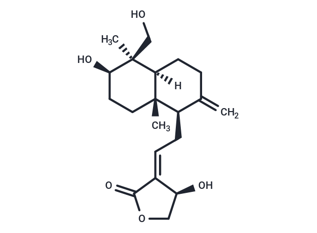 14-表皮蓮心內(nèi)酯,14-Epiandrographolide