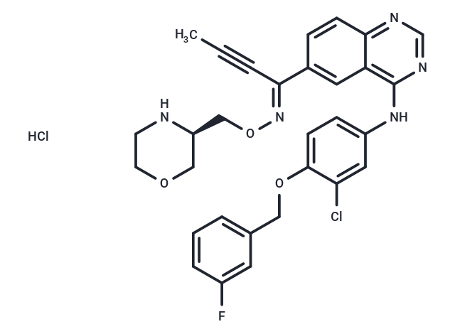 化合物 Epertinib hydrochloride,Epertinib hydrochloride