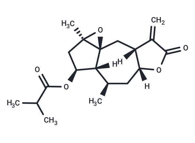 化合物Minimolide F,Minimolide F