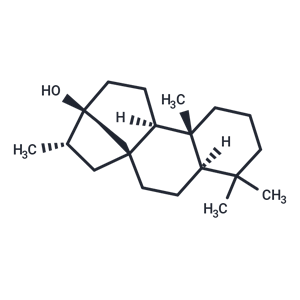 化合物 13-Hydroxystevane|T23579|TargetMol