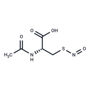 化合物 S-Nitroso-N-acetylcysteine|T24810|TargetMol