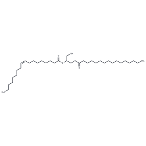 化合物 1-Palmitoyl-2-Oleoyl-rac-glycerol|T85136|TargetMol