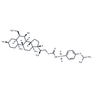 化合物 NR1H4 activator 1|T12251|TargetMol