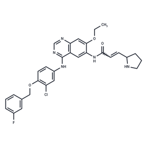 化合物 Transtinib,Transtinib