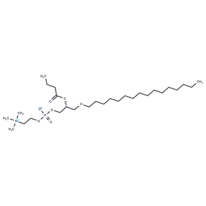 化合物 Butanoyl PAF|T84638|TargetMol