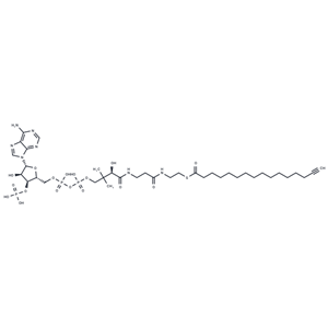 化合物 Palmitoyl Alkyne-Coenzyme A|T84950|TargetMol