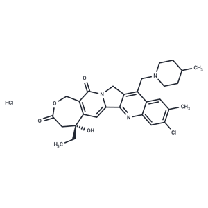 Elomotecan hydrochloride|T39681|TargetMol