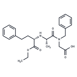 化合物 Rev 5975|T26065|TargetMol