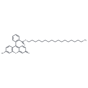 化合物 Fluorescein octadecyl ester,Fluorescein octadecyl ester