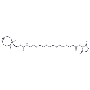 化合物 BCN-PEG4-NHS ester|T17536|TargetMol