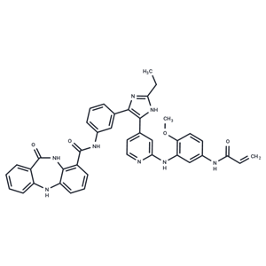 化合物 EGFR kinase inhibitor 4|T86342|TargetMol