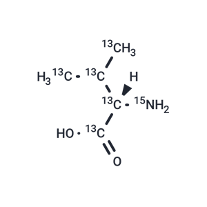 L-纈氨酸-13C5-15N|TMIJ-0381|TargetMol
