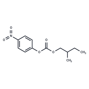 化合物 4-Nitrophenyl 2-methylbutyl ?carbonate|TNU1095|TargetMol