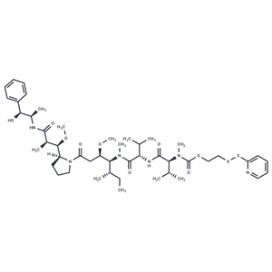 化合物 PDS-MMAE|T84799|TargetMol