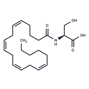 化合物 N-Arachidonoyl-L-Serine|T84551|TargetMol