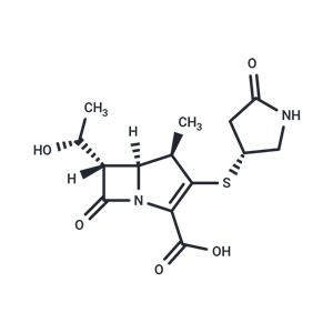 化合物 tacapenem|T68149|TargetMol