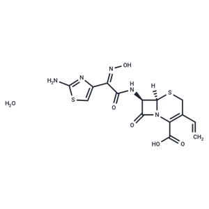 化合物 Cefdinir monohydrate|T69873|TargetMol