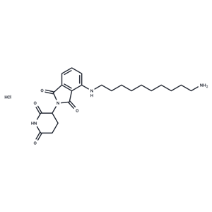 化合物 Thalidomide-NH-C10-NH2 hydrochloride|T77984|TargetMol