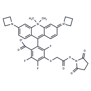 Janelia Fluor? 669, SE,Janelia Fluor? 669, SE